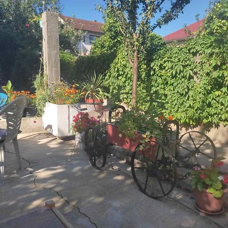 Апартаменти Apartman Hujic Біхач Екстер'єр фото